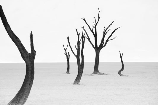 Deadvlei